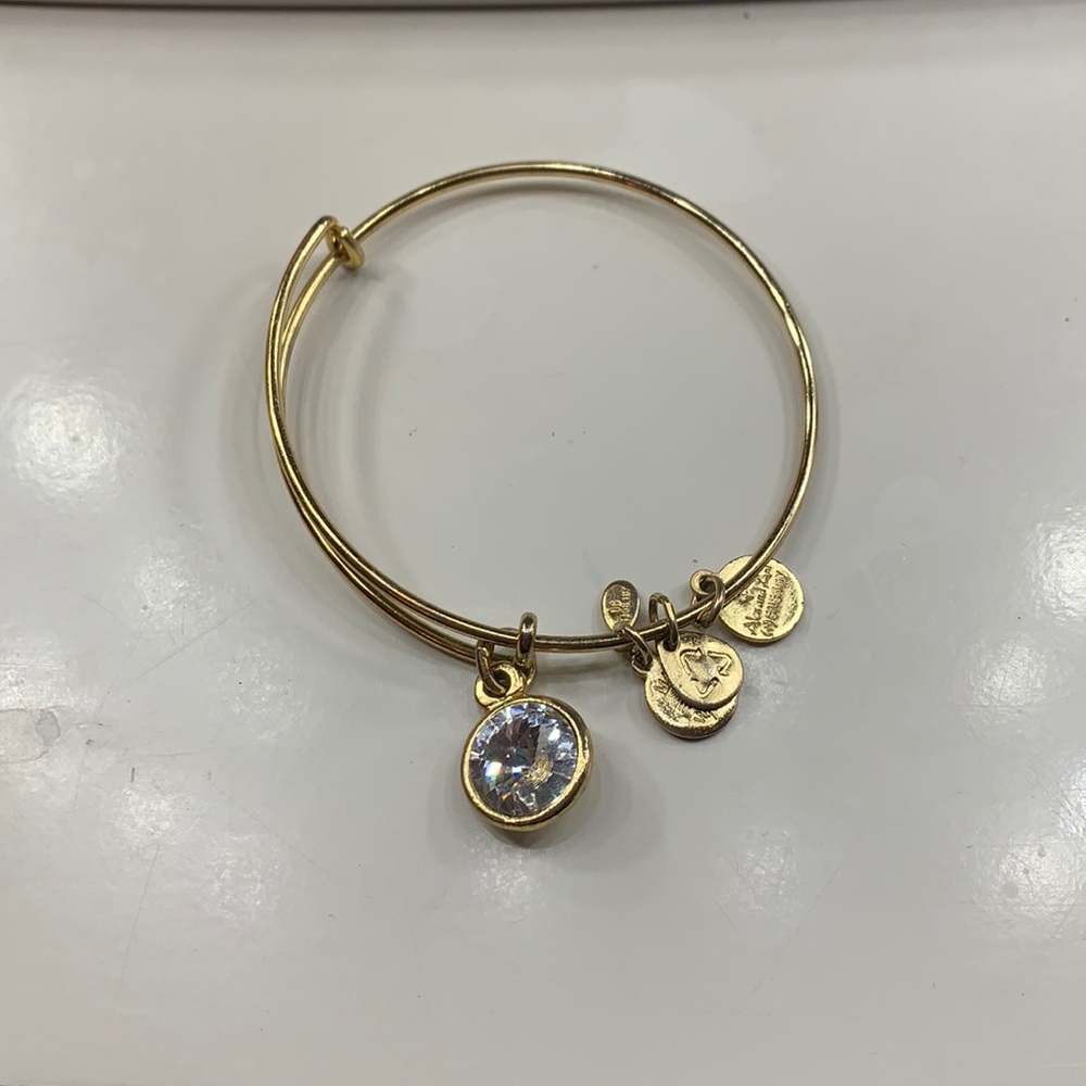 Alex and Ani gold plated bracelet with charm!
